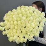 Белые Розы высокие – Премиум сорт